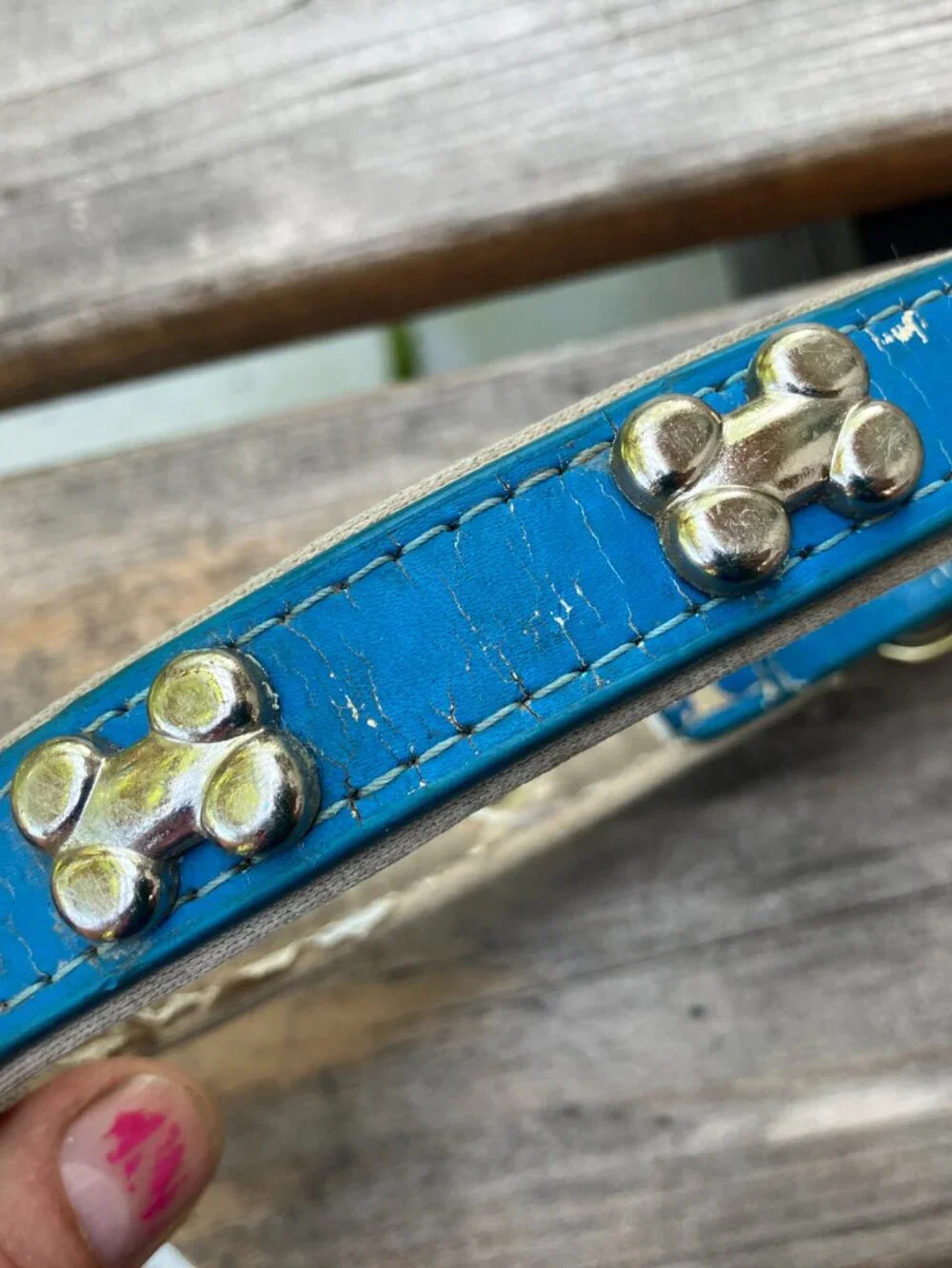 🐶💙 Blue Leather Studded Dog Collar | Silver Bone Studs | Thick Padded Collar |